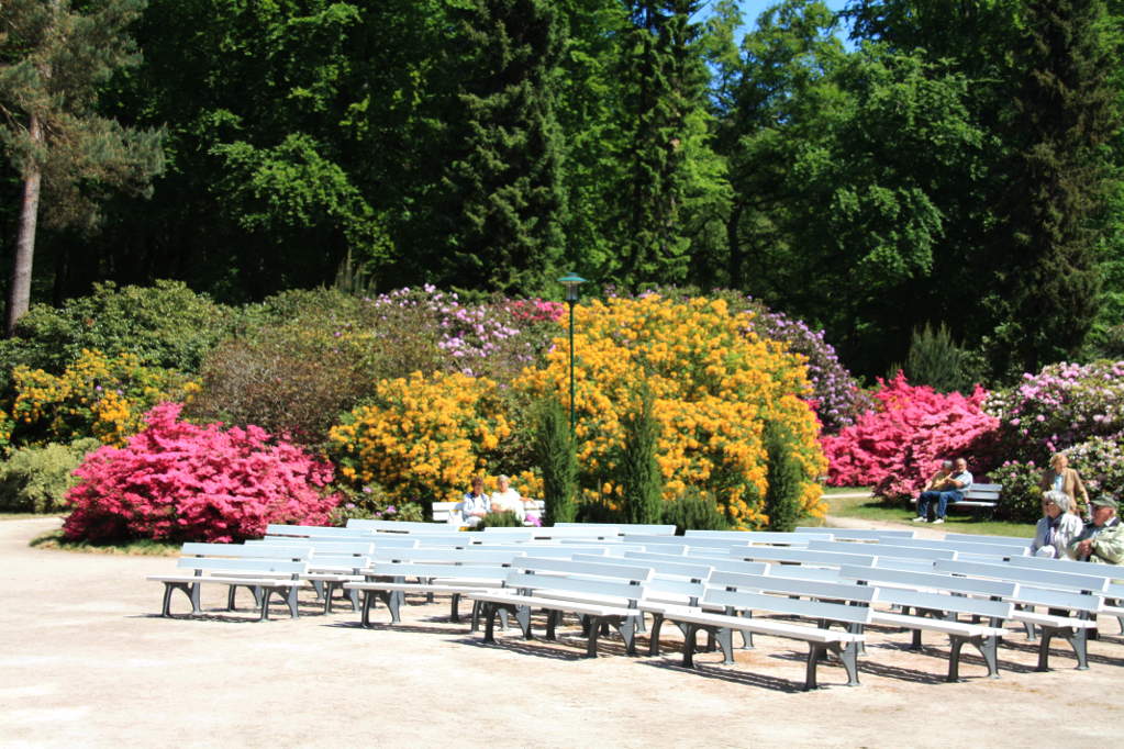 Rhododendrenpark